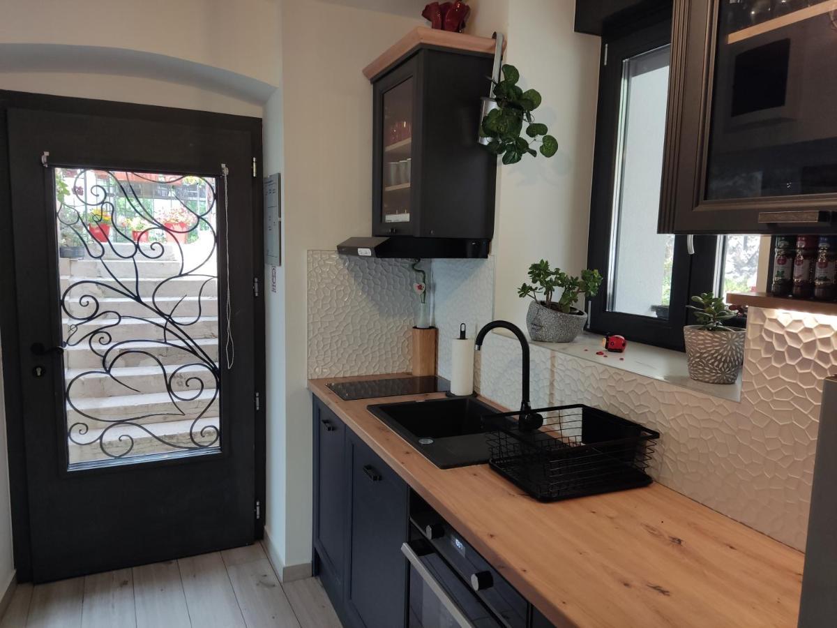 Appartement Apartman Bella Vista Rijeka Extérieur photo