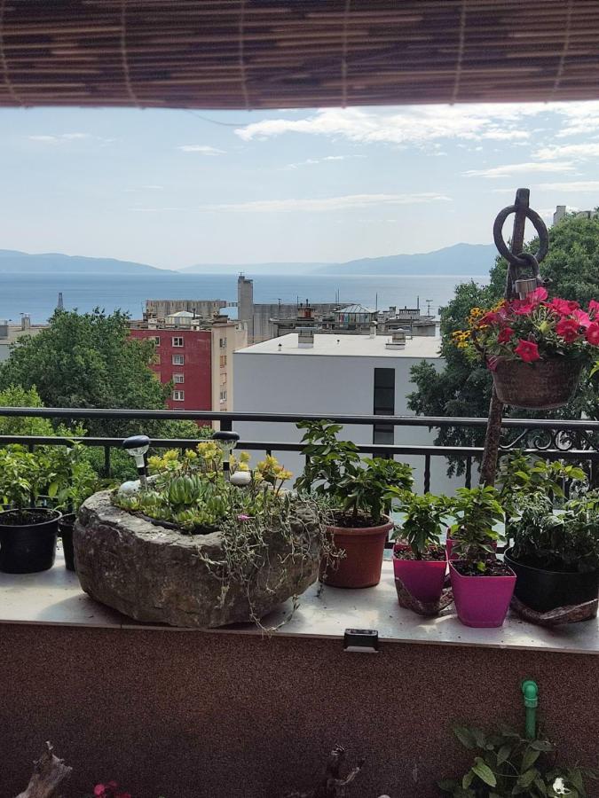 Appartement Apartman Bella Vista Rijeka Extérieur photo