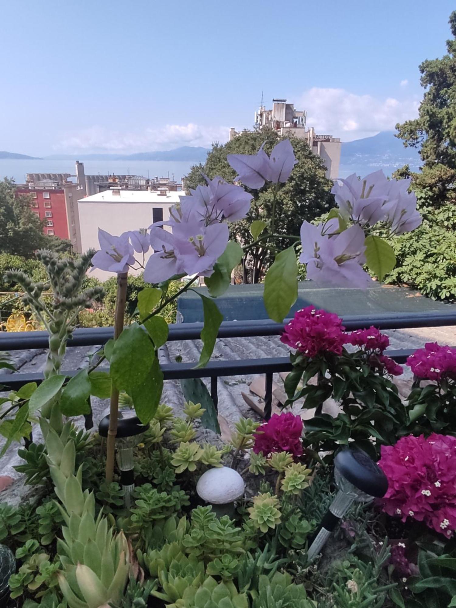Appartement Apartman Bella Vista Rijeka Extérieur photo