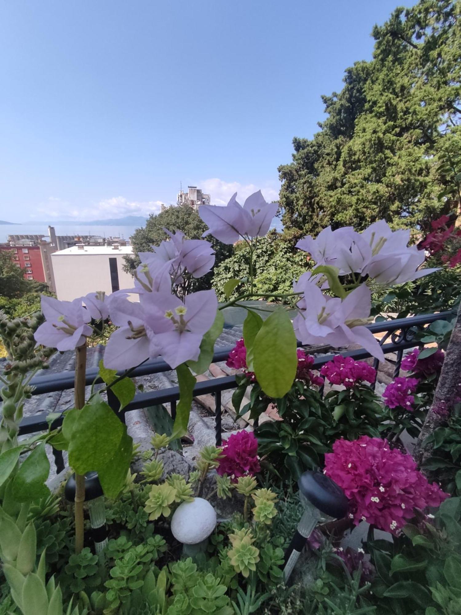 Appartement Apartman Bella Vista Rijeka Extérieur photo